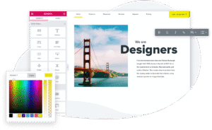 WordPress Elementor for Web Designer